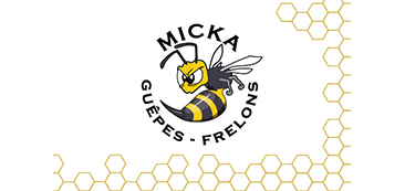 Micka Guêpes et Frelons